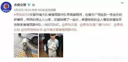有問題找警察，薩摩耶派出所報案，不注意這件事，對狗狗致命，警察蜀黍卻幫不上忙！