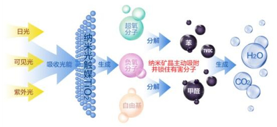 洋蔥可以除甲醛？民間流傳土方法可信嗎？
