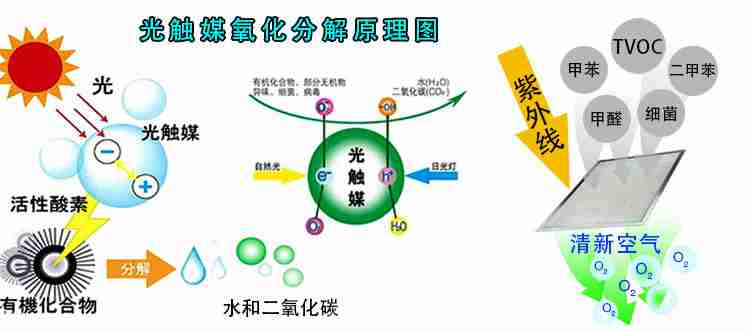除甲醛常用方法，專家告訴你哪些有用