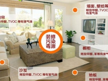 除甲醛加盟要多少錢(qián)？創(chuàng)綠家環(huán)保是哪里的？