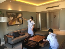 除甲醛公司哪家口碑好？