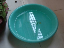 裝修完僅靠兩盆冷水就能除甲醛？這個說法連網友都出來辟謠！大家別再相信了！