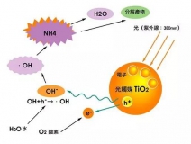 現在光觸媒的價格是多少？