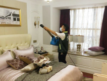 除甲醛公司哪家好，創綠家更專業