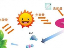 甲醛治理用什么辦法最正確？這三點常見的除甲醛辦法其實是誤區