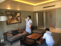 為什么那么多朋友做除甲醛加盟會(huì)失?。?></div>
                                <div   id=
