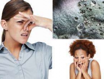 家里有異味怎么辦？科學除味、治理甲醛就對了！