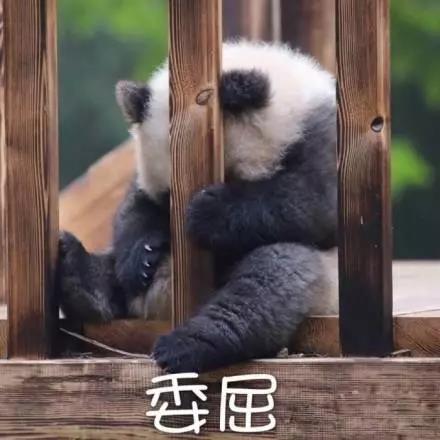 別大意！七大除甲醛“誤區”，信了你反而會生?。⊥L、綠植、活性炭、熏蒸……你中招了嗎？